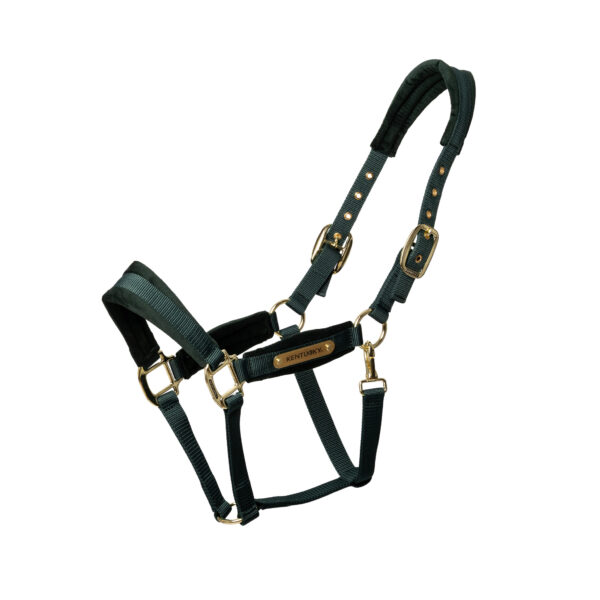 Licol Velvet KENTUCKY - Licols et accessoires