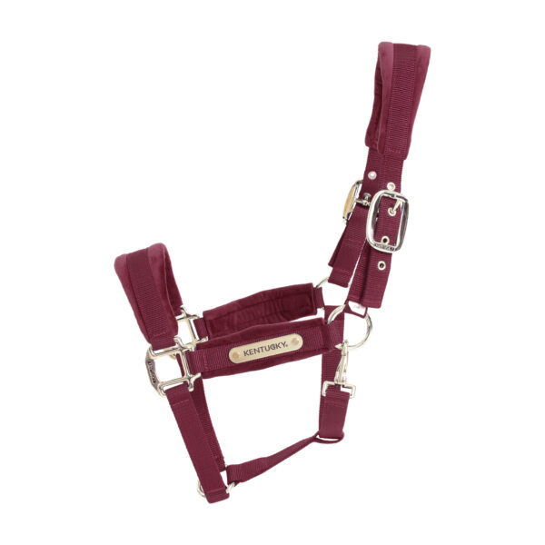 Licol Velvet KENTUCKY - Licols et accessoires