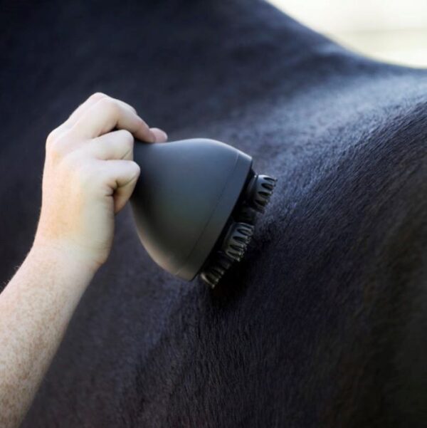 Sellerie - Brosse grooming & massage volta imperial riding - Robe