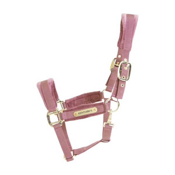 Licol Velvet KENTUCKY - Licols et accessoires