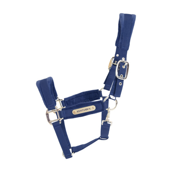 Licol Velvet KENTUCKY - Licols et accessoires