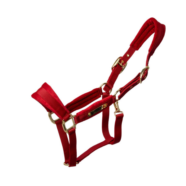 Licol Velvet KENTUCKY - Licols et accessoires