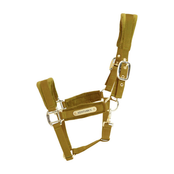 Licol Velvet KENTUCKY - Licols et accessoires