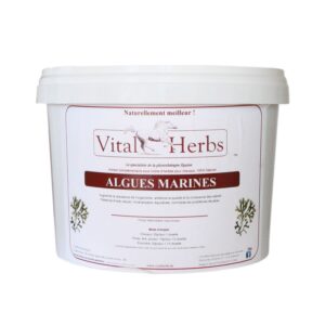 Sellerie - Algues marines vital herbs s/r - Vitamines et minéraux