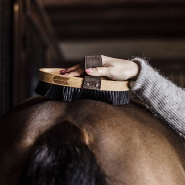 Sellerie - Brosse douce à poils durs grooming de luxe - Robe