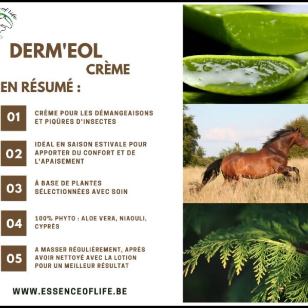 Sellerie - Derm'eol crème - essence of life s/r - Soins de la peau