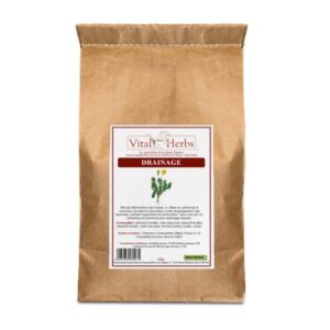 Sellerie - Drainage vital herbs - Système hépatique