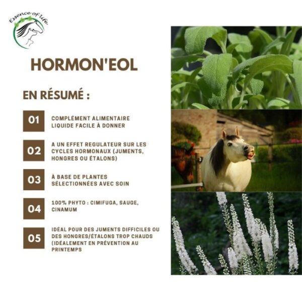 Sellerie - Hormon'eol- essence of life s/r - Nervosité et comportement