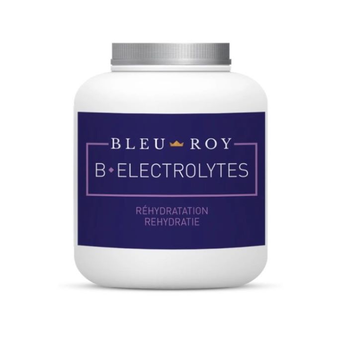 Sellerie - L-electrolytes bleu roy s/r - Muscles, récupération et performance