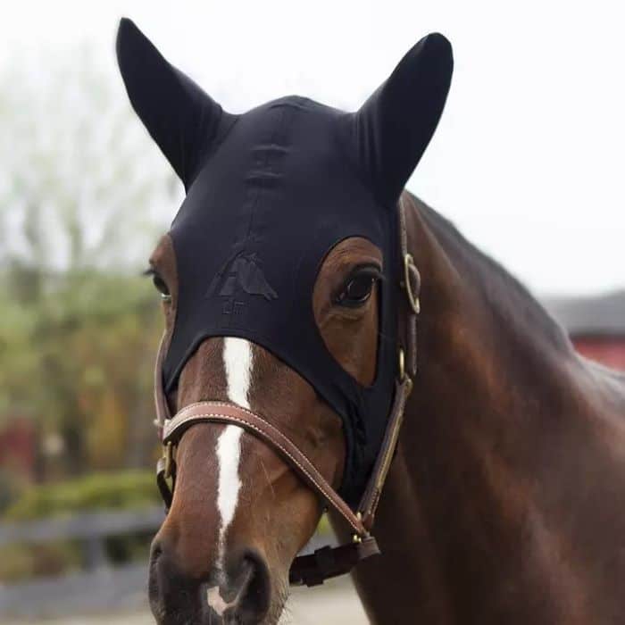 Protège genoux cheval thérapeutique Technologie Titane Liquide