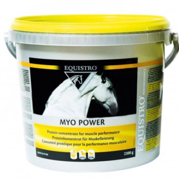 Sellerie - Myo power equistro - s/r - Muscles, récupération et performance