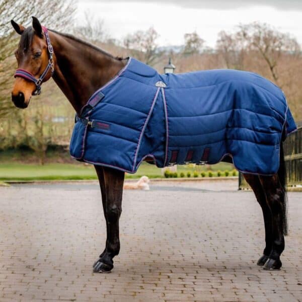 Sellerie - Rambo optimo stable rug 400 gr - Couvertures de box