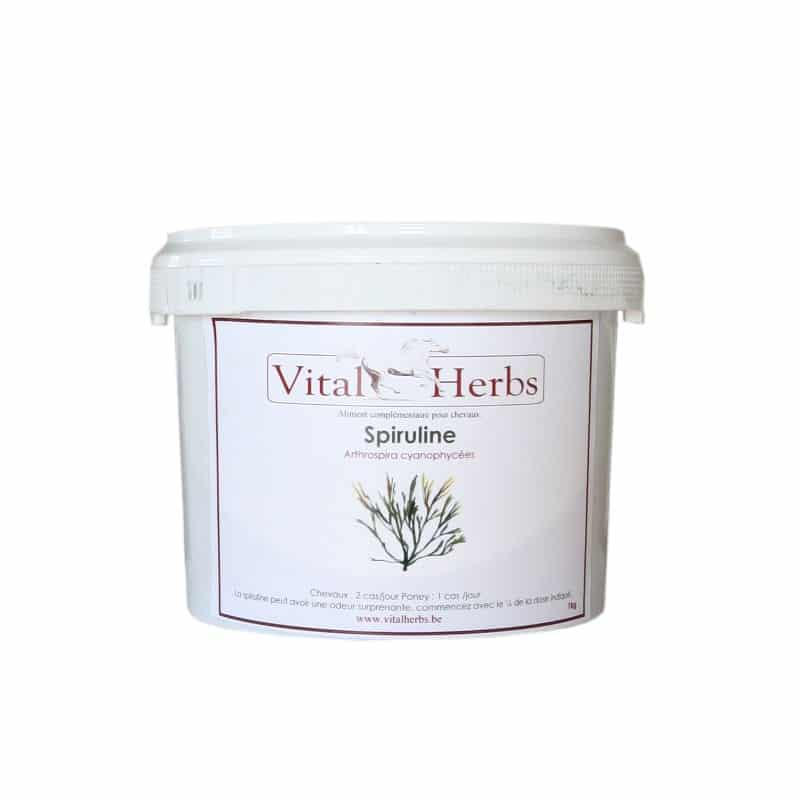 Sellerie - Spiruline vital herbs s/r - Muscles, récupération et performance