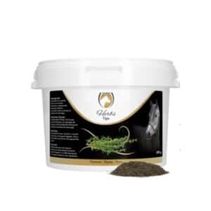 Sellerie - Thym excellent herbs s/r - Système respiratoire