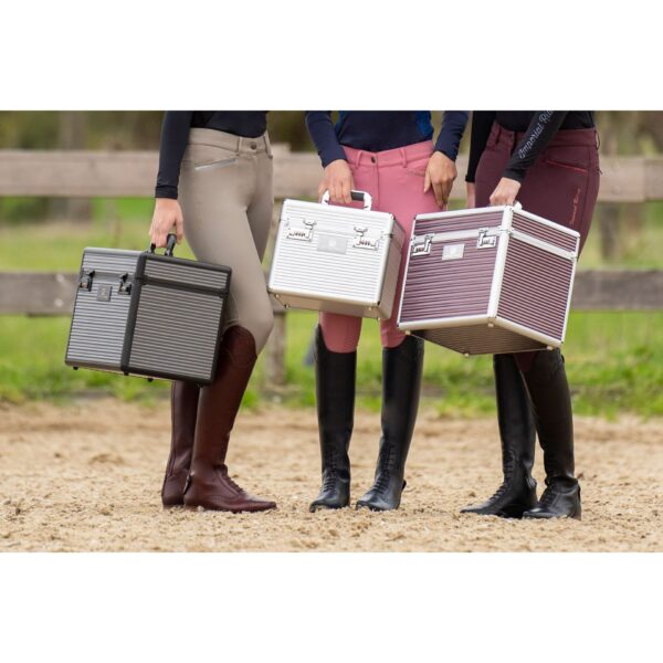 Sellerie - Grooming box "shiny classic small" imperial riding - Boites et sacs de pansage