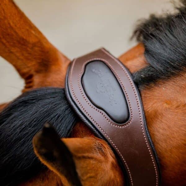 Sellerie - Licol Signature HORSEWARE - Licols et accessoires