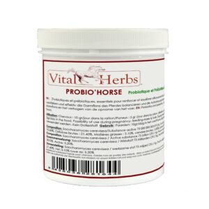Sellerie - Probio Horse VITAL HERBS S/R - Système digestif