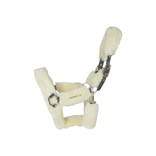 Sellerie - Licol de transport mouton KENTUCKY - Licols et accessoires