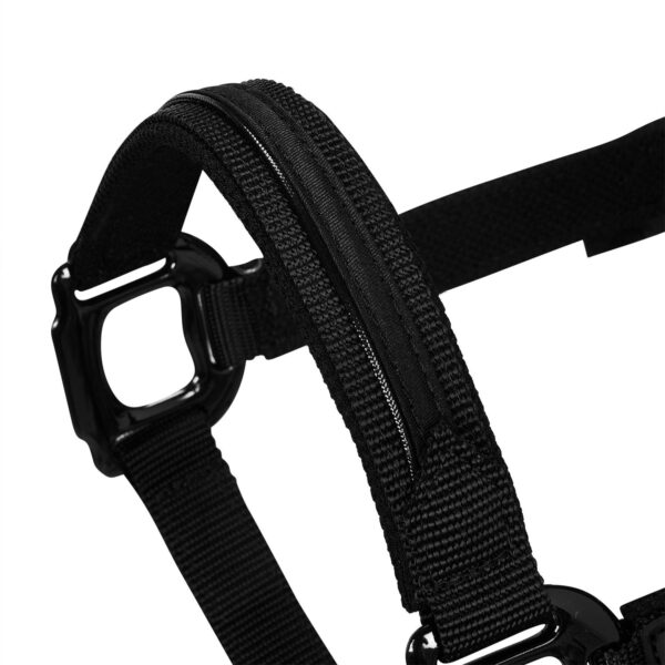 Sellerie - Licol nylon EQUESTRO - Licols et accessoires