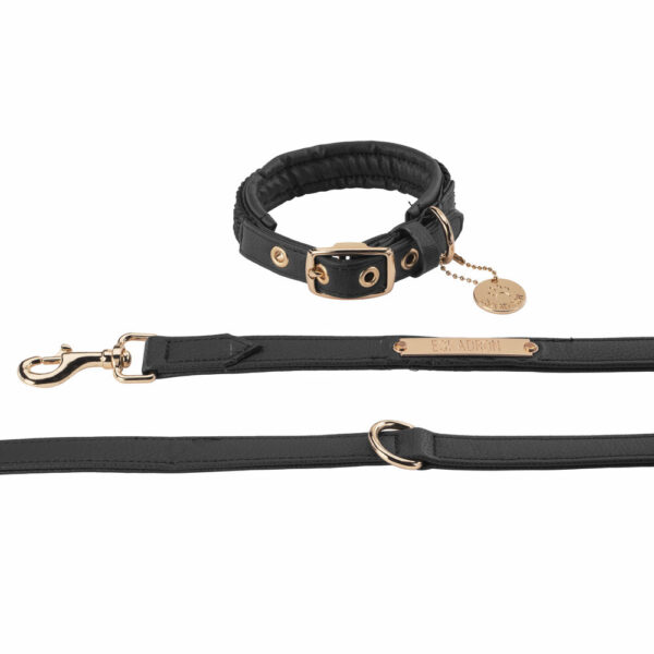 Sellerie - Collier + laisse pour chien Faux Leather Plait Heritage 24/25 ESKADRON - Colliers et laisses