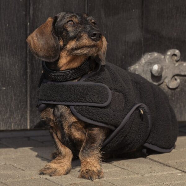 Sellerie - Manteau pour chien Teddy Heritage 24/25 ESKADRON - Manteaux