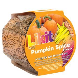 Likit pumpkin spice 650gr S/R - Friandises