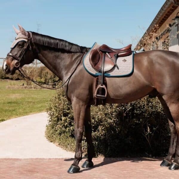 Tapis de selle obstacle pied-de-poule KENTUCKY - Obstacle