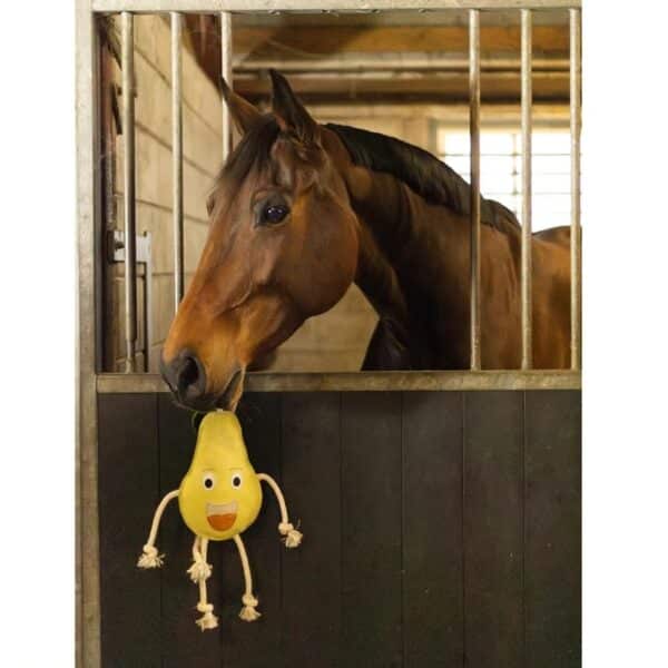 Jouet foodie friends Pear HOLLAND ANIMAL CARE - Jeux