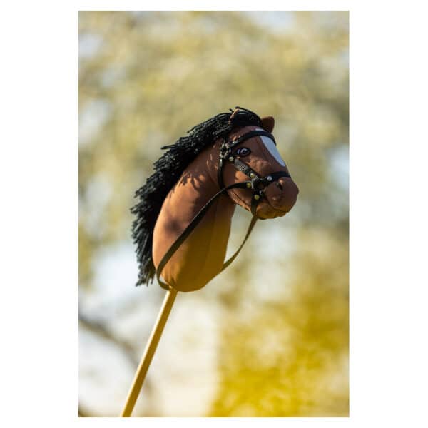 Hobby horse BR - Jeux