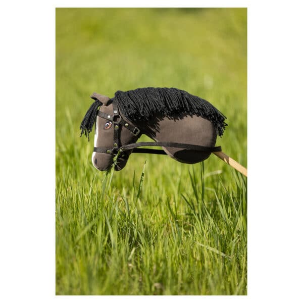 Hobby horse BR - Jeux