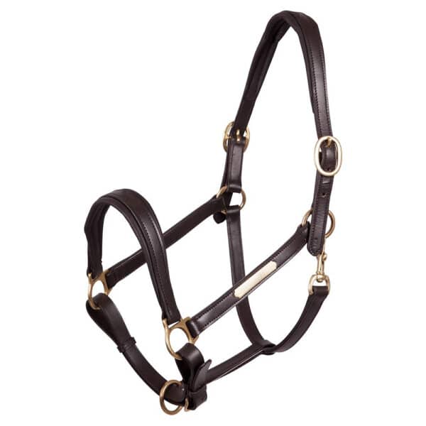 Licol cuir + doublure amovible PREMIERE - Licols et accessoires
