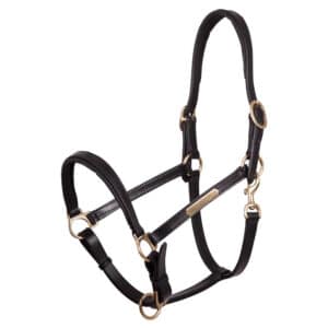 Licol cuir + doublure amovible PREMIERE - Licols et accessoires