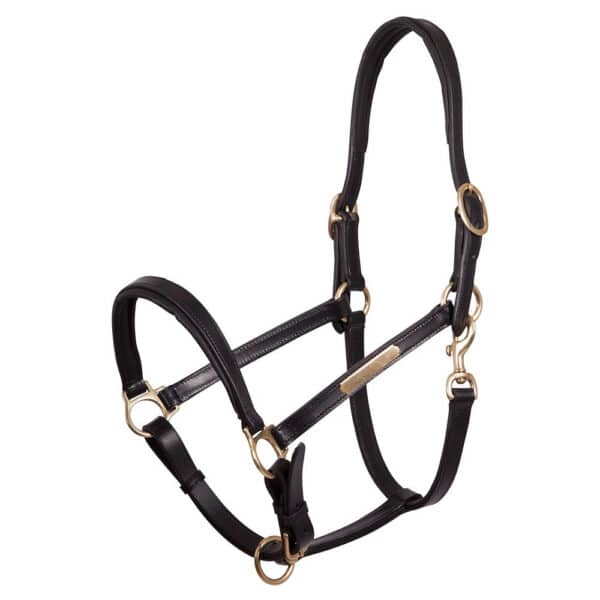 Licol cuir + doublure amovible PREMIERE - Licols et accessoires