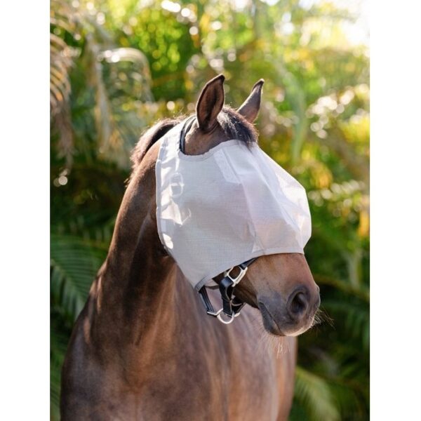 Masque anti-mouches sans oreilles Amigo HORSEWARE - Masques et franges