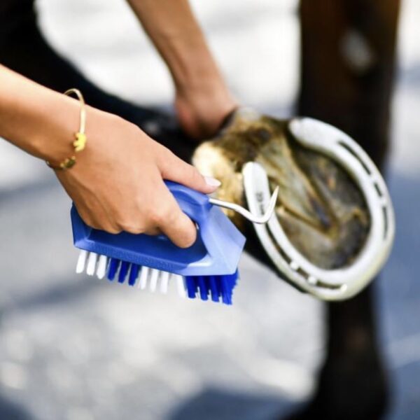 Cure-pieds + brosse KELCIE - Sabots