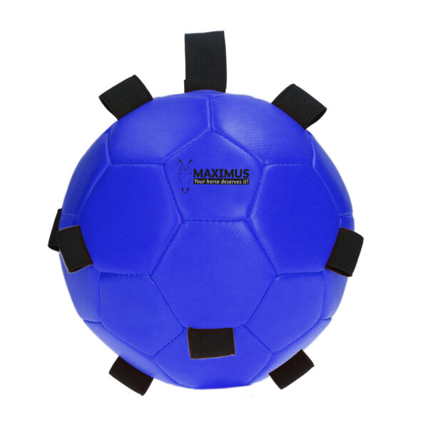 Maximus Fun Play Ball - Jeux