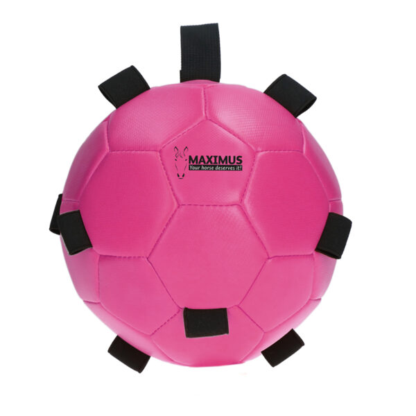 Maximus Fun Play Ball - Jeux
