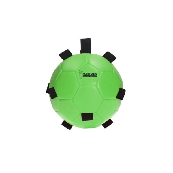 Maximus Fun Play Ball - Jeux