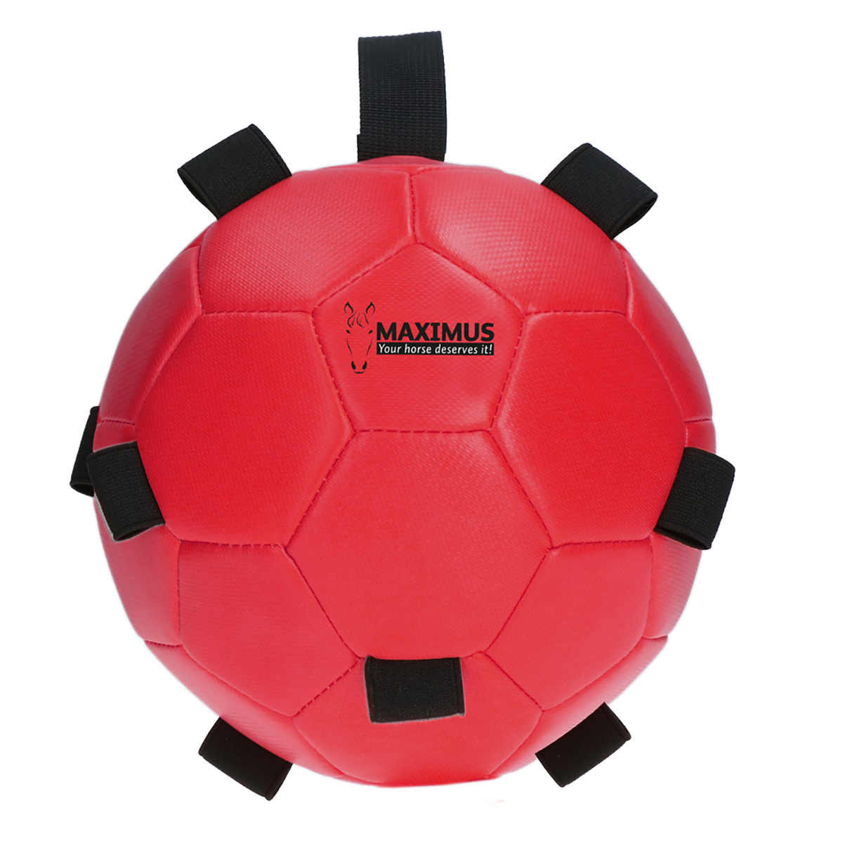 Maximus Fun Play Ball - Jeux