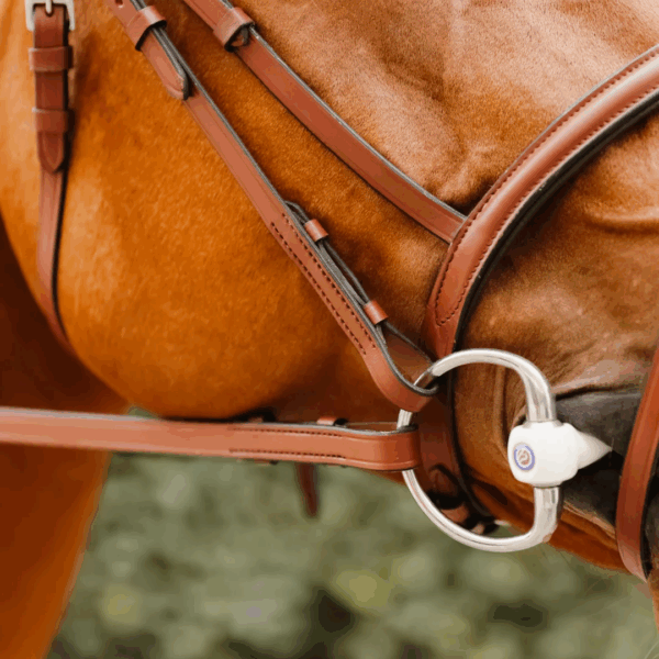 Bridon Sissy LC EQUESTRIAN - Bridons