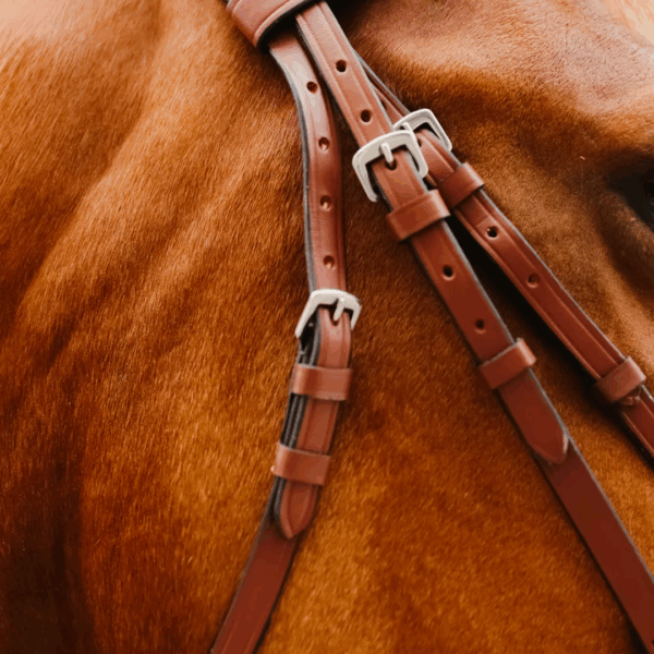 Bridon Sissy LC EQUESTRIAN - Bridons