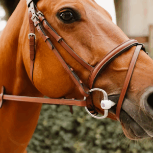 Bridon Sissy LC EQUESTRIAN - Bridons