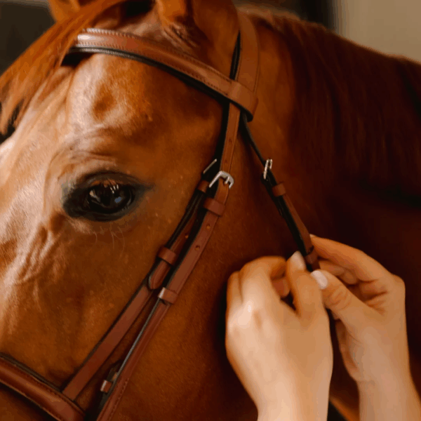 Bridon Sissy LC EQUESTRIAN - Bridons