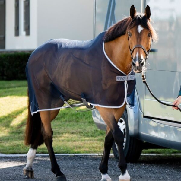 Chemise séchante Amigo Net Cooler HORSEWARE - Polars et séchantes