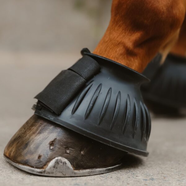 Cloches caoutchouc Tania LC EQUESTRIAN - Cloches et protèges-glomes
