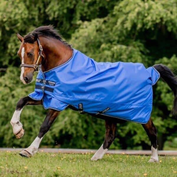 Couverture Amigo Hero Ripstop 50gr HORSEWARE - Couvertures d'extérieur
