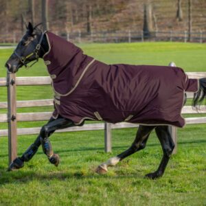 Couverture Amigo Hero Ripstop Plus 200gr HORSEWARE - Couvertures d'extérieur