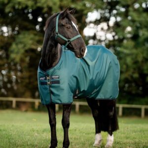 Couverture Amigo Ripstop 900D 50gr HORSEWARE - Couvertures d'extérieur