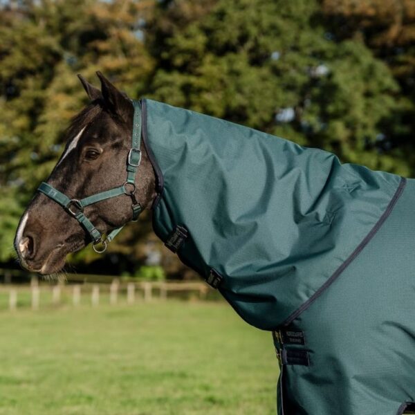 Couverture Amigo Ripstop Plus 900D 200gr HORSEWARE - Couvertures d'extérieur