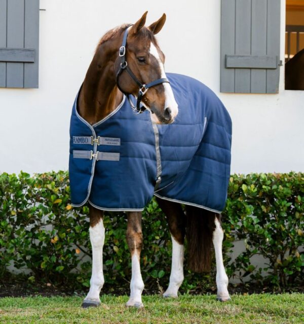 Couverture Stable Rambo 100gr HORSEWARE - Couvertures de box